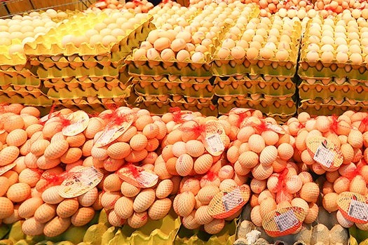 NPC deputy urges more international cooperation in poultry sector