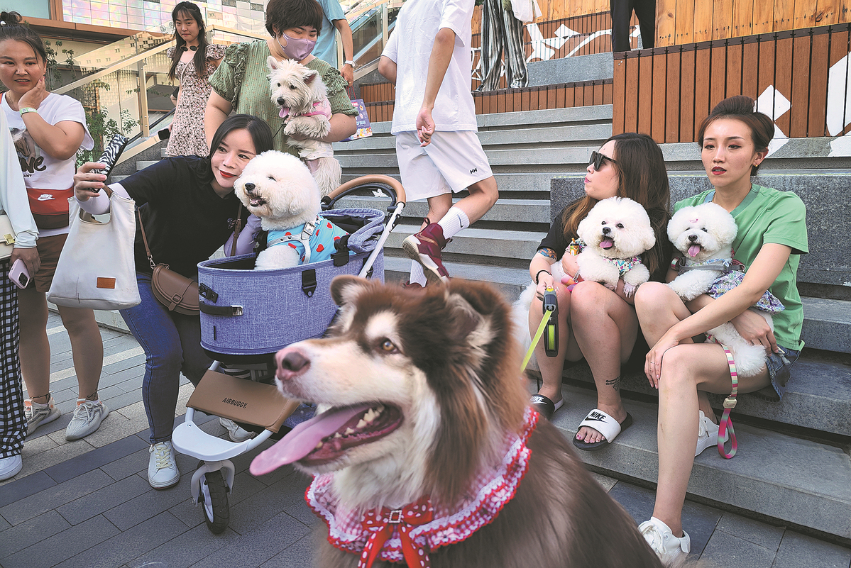 Cakes to couture, pampered pets a growing breed - Chinadaily.com.cn