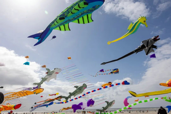 Kites bridge people in China and France - Chinadaily.com.cn