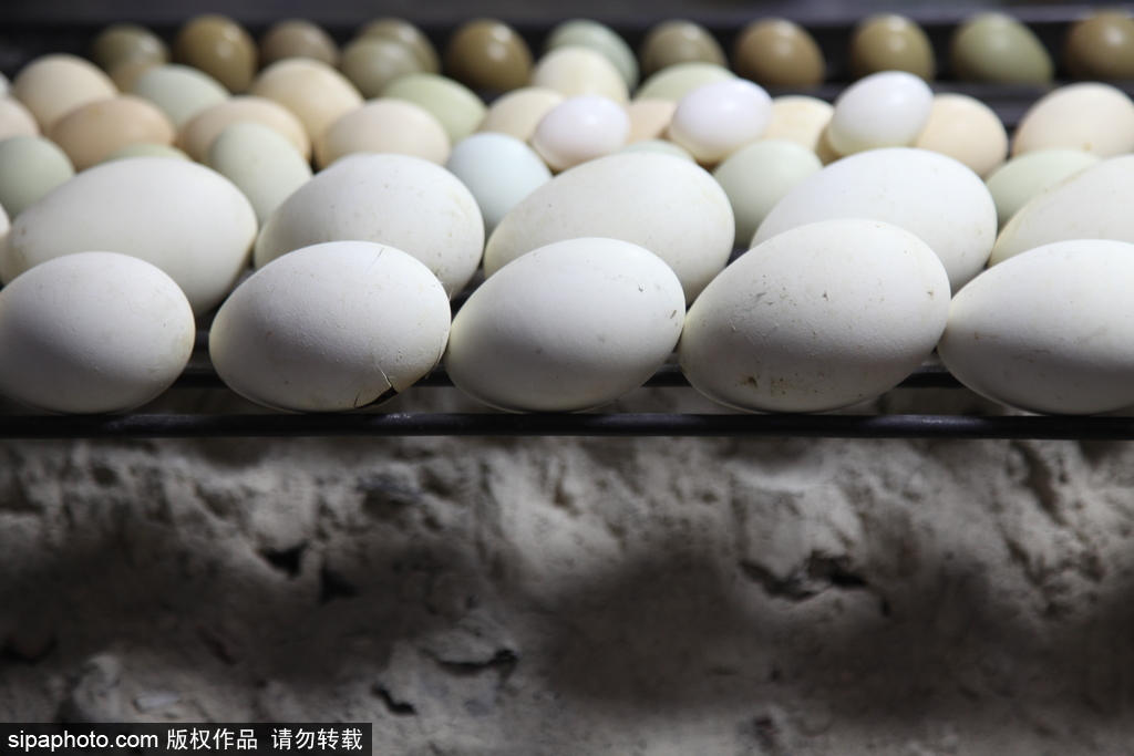 24 Solar Terms 8 things you may not know about Autumn Equinox