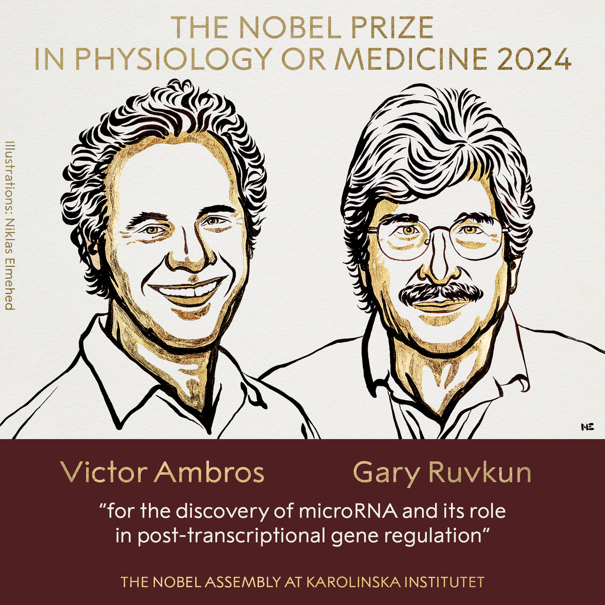 Ambros and Ruvkun win 2024 Nobel medicine prize World