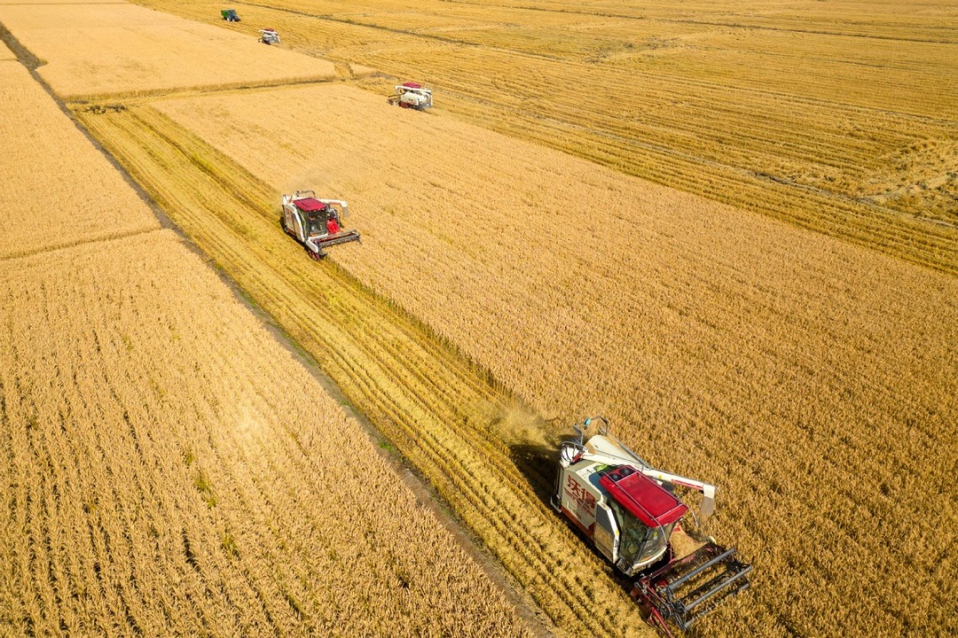 Record Grain Yield Expected in China, Despite Challenges