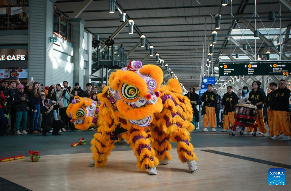 chinese new year train