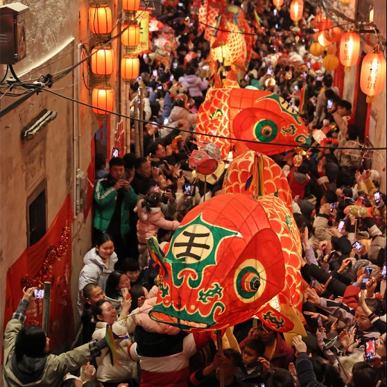 Fish lantern parade lights up Spring Festival - Chinadaily