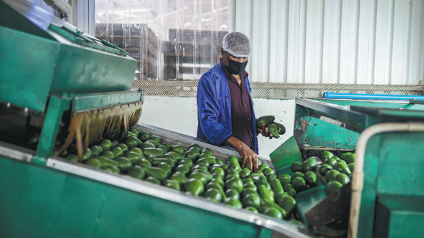 Africa looks to diversify trade