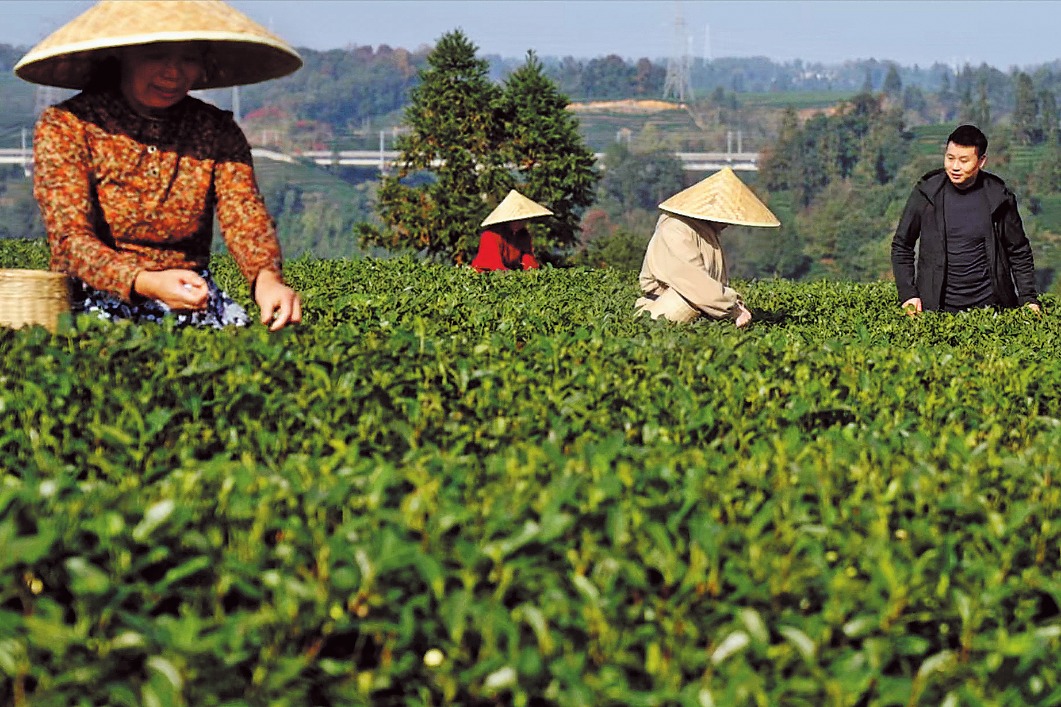 Elevated skills enrich farmers through various cooperatives