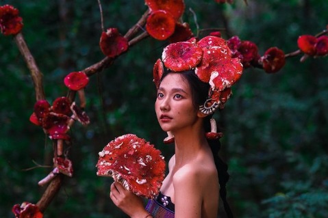 When mushrooms become fashion in Yunnan