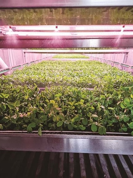 AI-powered containers help reshape farming in Xizang