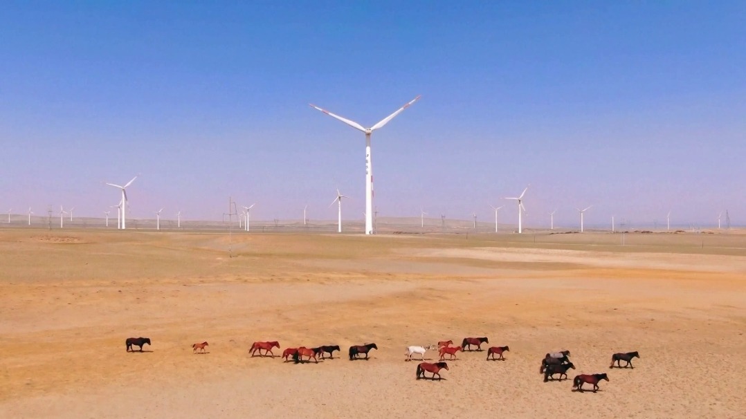 Xinjiang's green power trading volume hits record high