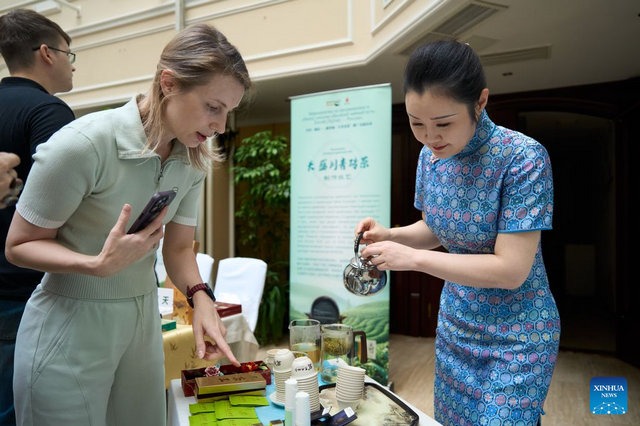 Series of events promote Hubei culture and tourism in Russia