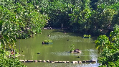 Yanoda Rainforest Cultural Tourism Zone, Sanya, Hainan