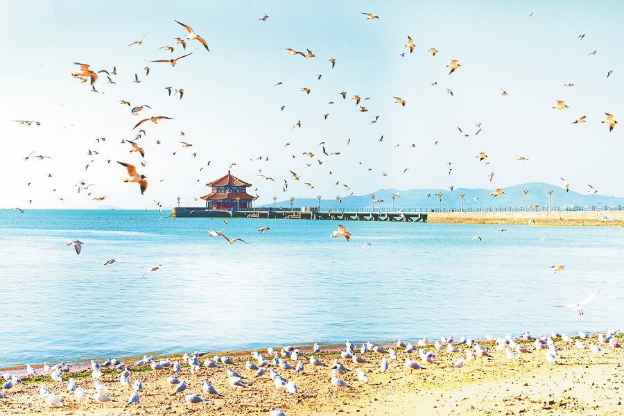 Riding the tides