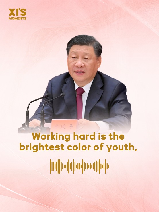 Xi on youth: Working hard is the brightest color of youth