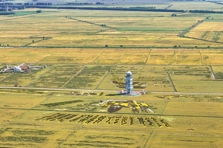 QR codes, crop canvases and the rise of agritourism