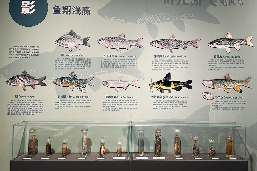 Exhibition presents natural wonders of two river basins