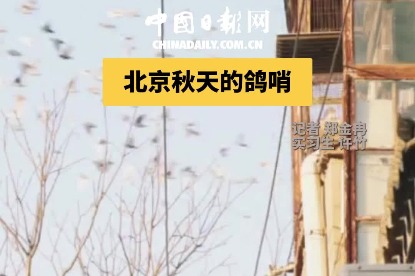 Beijing craftsman keeps pigeon-whistle making alive for decades