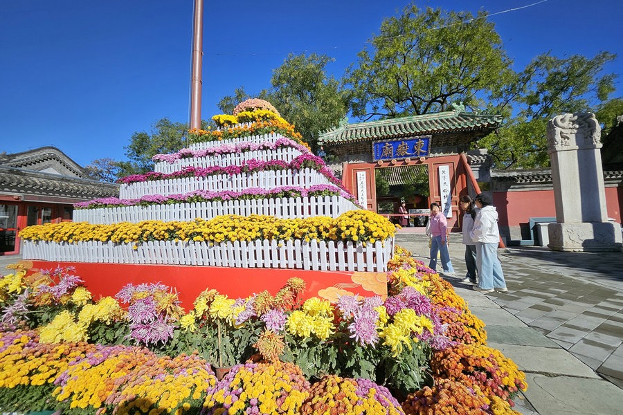 Beijing museum honors seniors through Double Ninth traditions