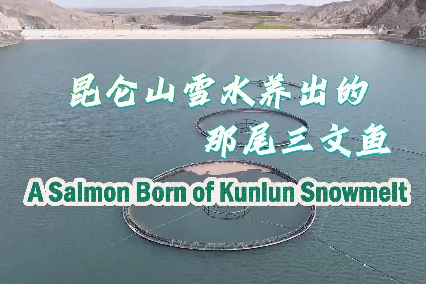 Oysters and crabs farmed in saline-alkali ponds in Xinjiang