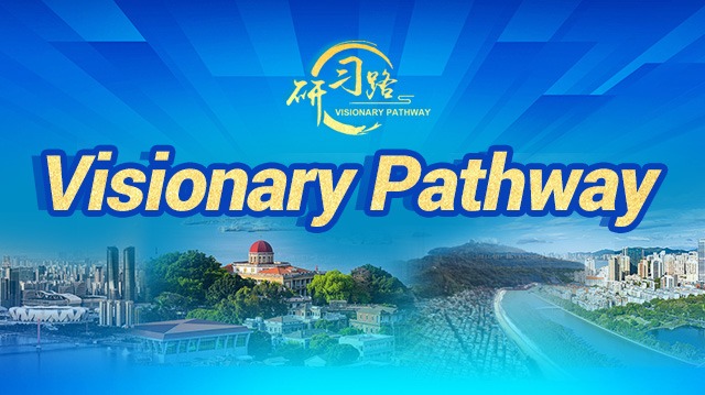 Visionary Pathway